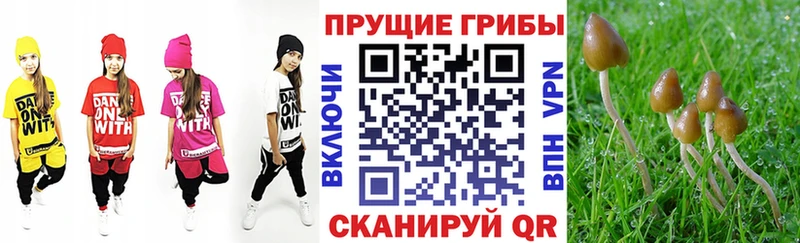 Псилоцибиновые грибы Magic Shrooms  Купить закладки  Тихвин 